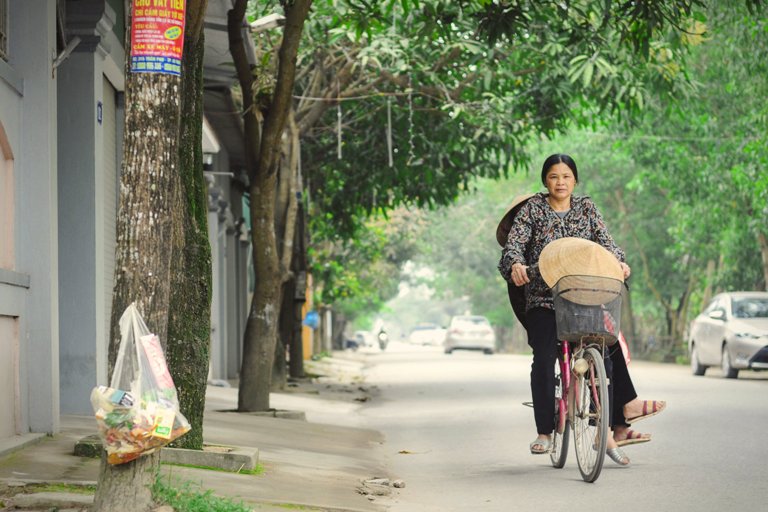 Nếu cây xanh biết nói………