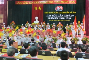 Đại hội Đảng bộ khối các cơ quan tỉnh Hà Tĩnh