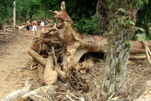 Hà Tĩnh xác xơ sau lũ