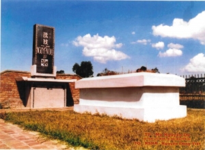 Nghệ sĩ Nguyễn Đăng Việt cúng tạ cụ Nguyễn Du