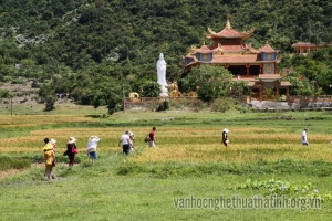 Bút ký: Bí ẩn ở Cù Lao Chàm