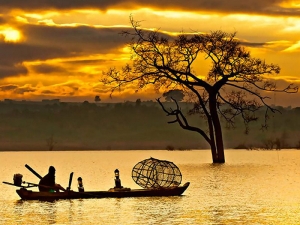 Chùm thơ của nhà thơ Nguyễn Thị Ánh Huỳnh