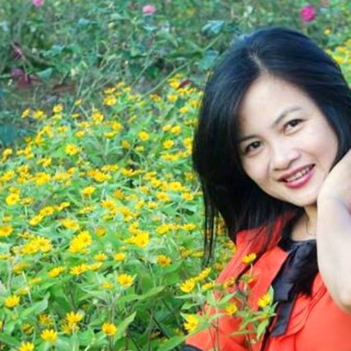 TÁC GIẢ PHẠM THỊ THÚY HẰNG