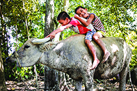 Chùm ảnh của tác giả Phan Linh Châu