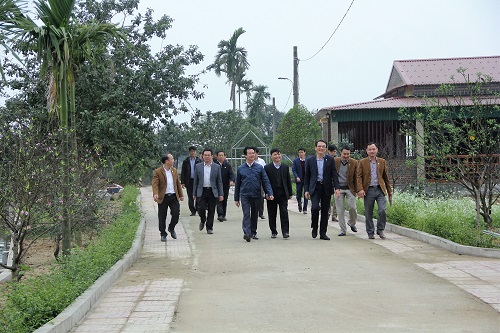 Cỏ cúc về trời