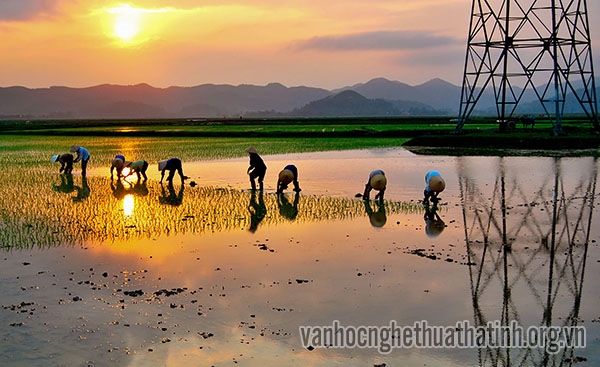 Chùm thơ của nhà thơ Trần Chấn Uy