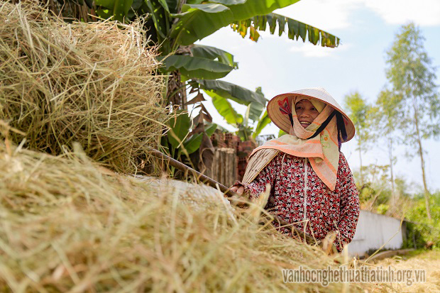 Rộn ràng mùa gặt