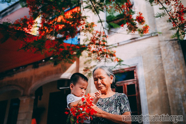 Mùa hoa phượng nở