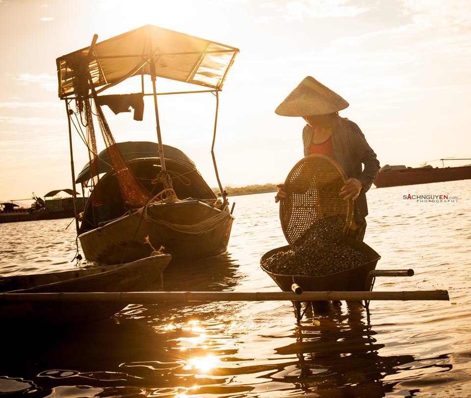 LẮNG NGHE GIỮA MƠ HỒ tản văn của Trần Quỳnh Nga