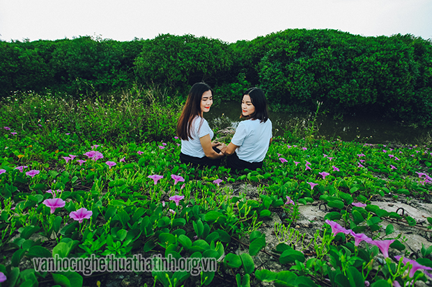 Dịu dàng sắc tím hoa muống biển