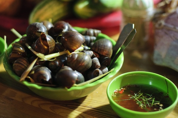  Mùa đông ăn ốc (Tản văn của Lâm Lâm)