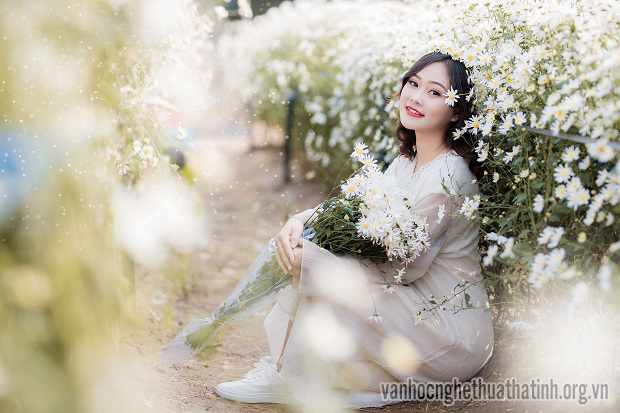 Xao xuyến mùa cúc họa mi