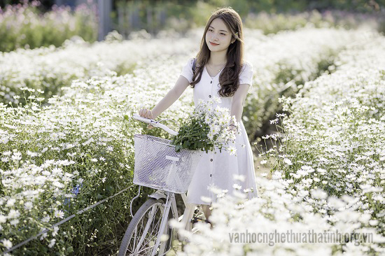 Chớm đông cùng vài đóa họa mi