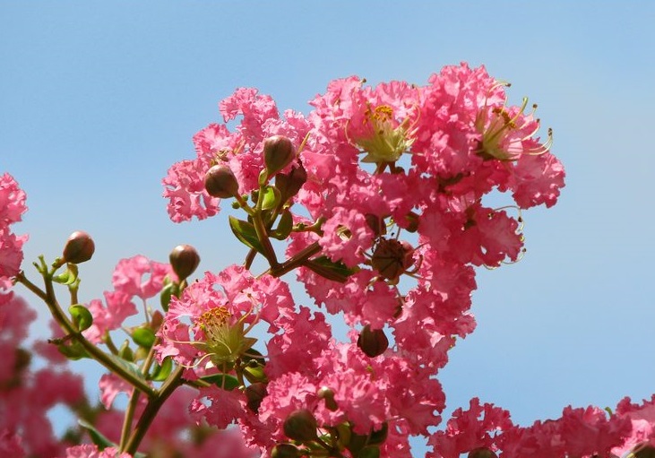 Chùm thơ của nhiều tác giả