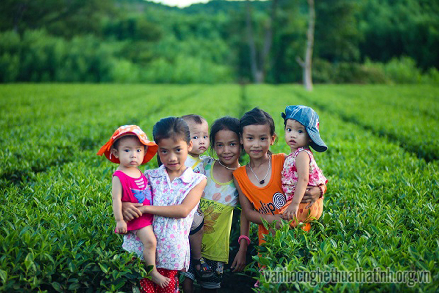 Hút mắt với đồi chè xanh Kỳ Trung