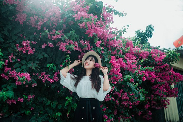 Dưới giàn hoa giấy