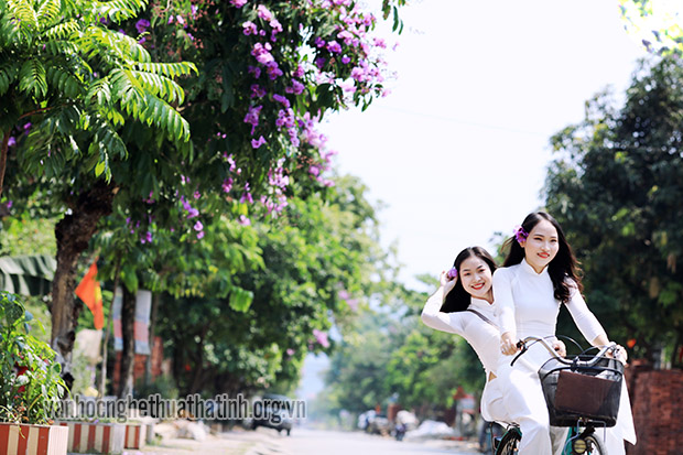 Phố Châu rợp trời sắc tím bằng lăng