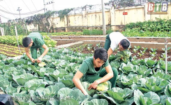  Cuộc thi viết “Bộ đội Hậu cần làm theo lời Bác Hồ dạy”