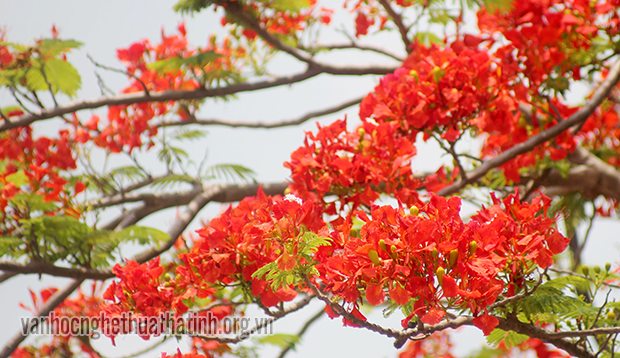 Chùm thơ của nhiều tác giả - Tạp chí Hồng Lĩnh số 153