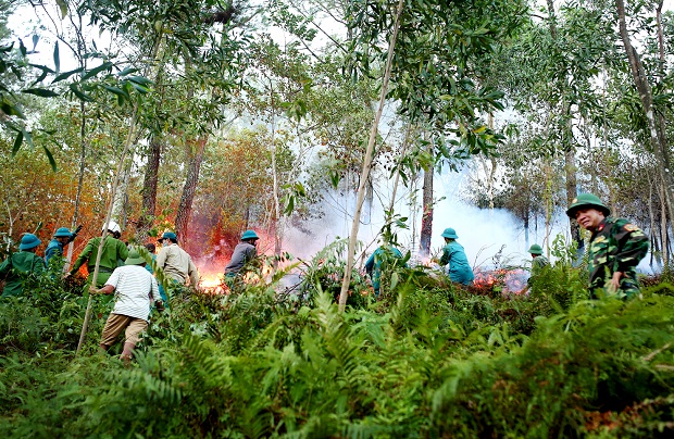 Bùng phát cháy rừng tại huyện Hương Sơn