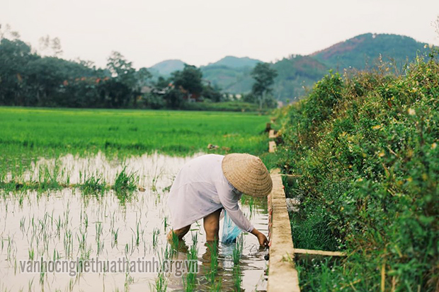 Hương Sơn hồi sinh sau cơn mưa