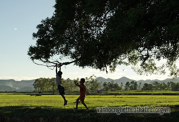 Dưới gốc cây sanh