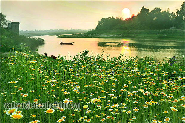 Chùm thơ của tác giả Đinh Nho Tuấn - Tạp chí Hồng Lĩnh