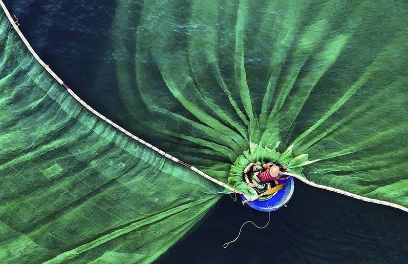 Tác phẩm của nhiếp ảnh gia Việt đoạt giải Nhất Cuộc thi ảnh Bảo tồn thiên nhiên thế giới 2019