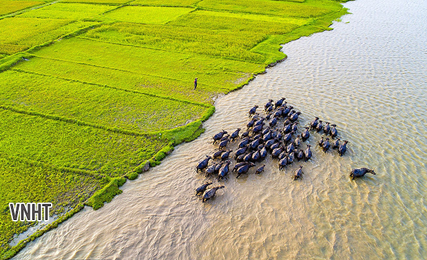 Chùm ảnh của tác giả Nguyễn Thanh Hải ở Triển lãm ảnh Nghệ thuật Quốc tế lần thứ 10 tại Việt Nam năm 2019 (VN-19)
