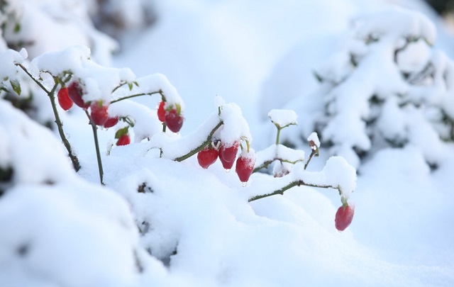 Tác phẩm tham dự cuộc thi Viết - Vẽ tuổi học trò lần thứ XIII