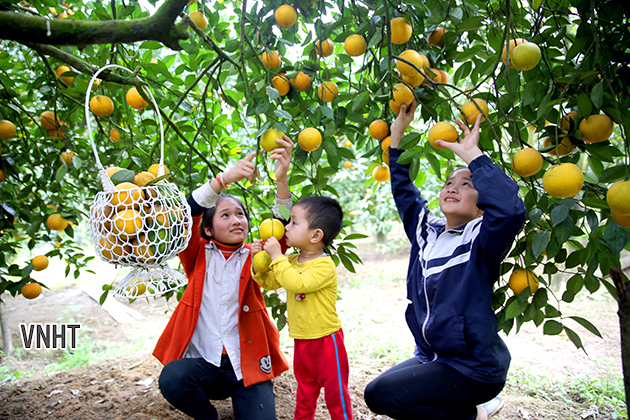 Chùm thơ các tác giả (Phần 1) - Tạp chí Hồng Lĩnh số 160