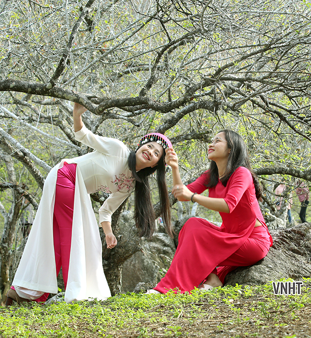 Chùm thơ của các tác giả (Phần 2) - Tạp chí Hồng Lĩnh 