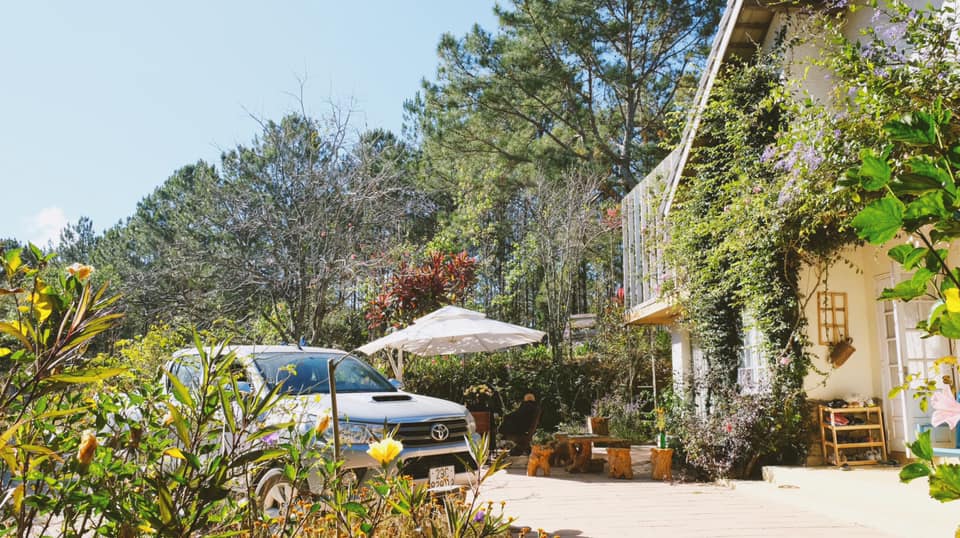 Tạp bút TIẾT XUÂN VÀ NHỮNG BỘN BỀ của Nhà văn trẻ Ngô Thanh Vân 