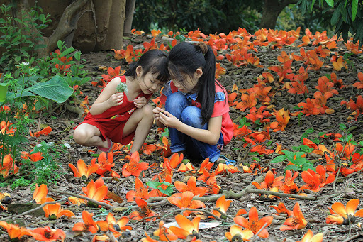 Tác phẩm dự thi viết - vẽ tuổi học trò trên Tạp chí Hồng Lĩnh số tháng 3/2020