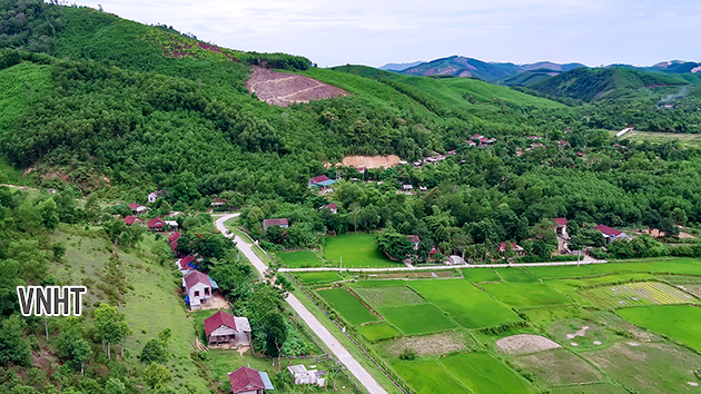 Ghi chép TRONG GIÓ MỚI RÀO TRE của Phạm Anh Hoài