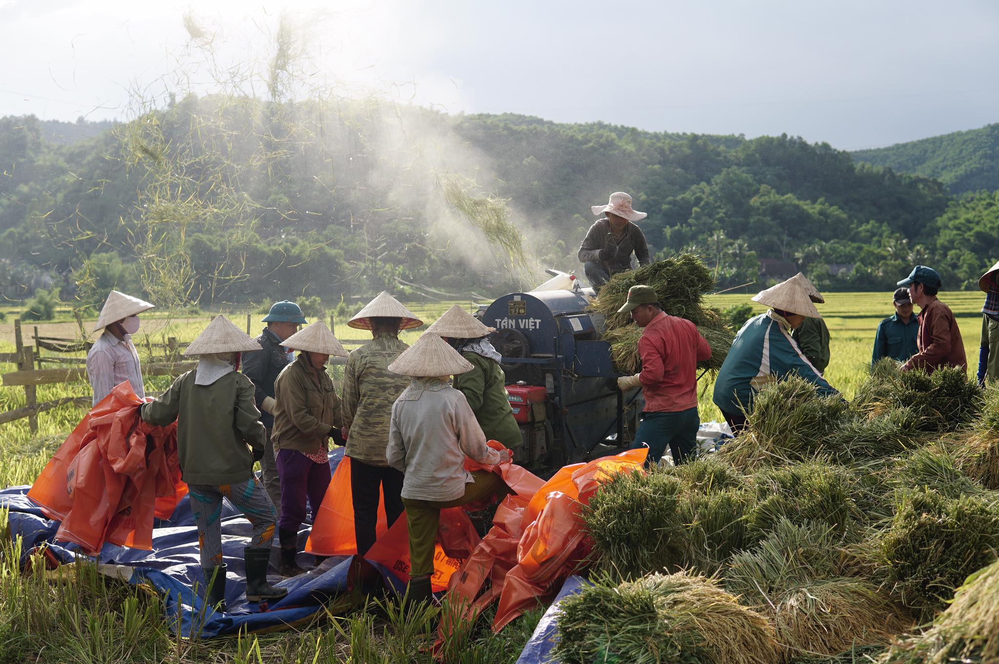 Truyện ngắn NHỚ MÙA của Tống Phú Sa