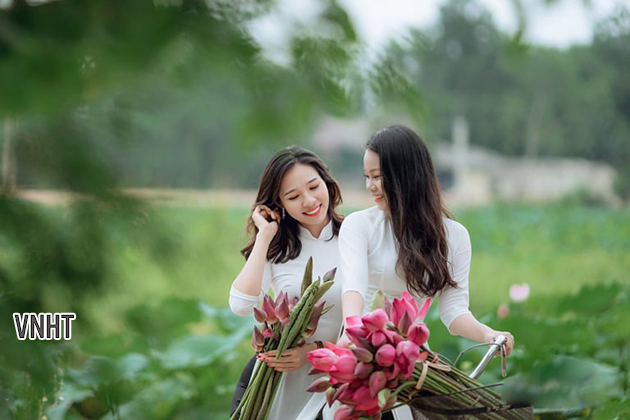 Tháng năm rực rỡ mùa hoa sen