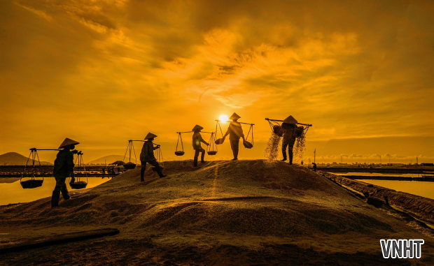 Vẻ đẹp cánh muối ở Hòn Khói qua ống kính của NSNA Nguyễn Thanh Hải