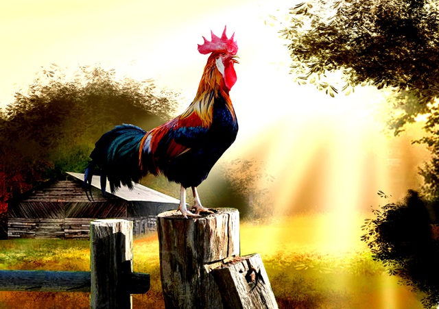 Truyện đồng thoại 