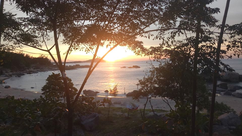 Truyện ngắn GIÓ BÊN BỜ VỊNH  của Trần Tú Ngọc  