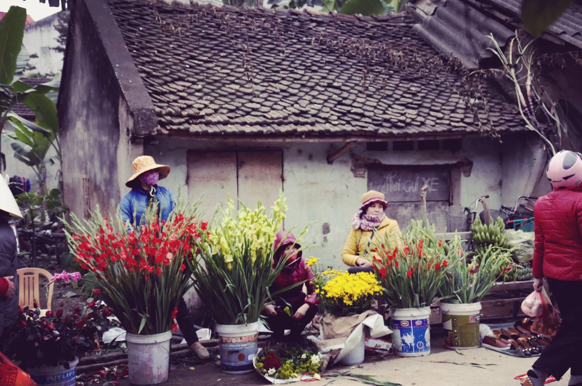 Chùm tản văn của các tác giả Hữu Ngọc, Ngô Đức Hành, Nguyễn Thị Hòe 