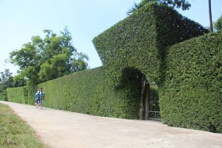 ĐÍCH ĐẾN CỦA NÔNG THÔN MỚI LÀ VĂN HÓA của Nhà văn Đức Ban