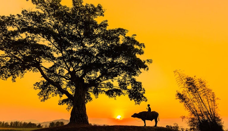 Chùm thơ của các tác giả trên Tạp chí Hồng Lĩnh số tháng 5 - 2021 (Phần 2)