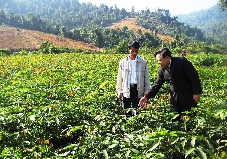 Bút ký dự thi  SÔNG NÚI CÒN XANH của Trần Ngọc DIệp 