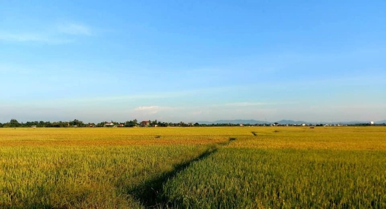 Chùm thơ các tác giả trên Tạp chí Hồng Lĩnh số tháng 8 - 2021 (phần 1)