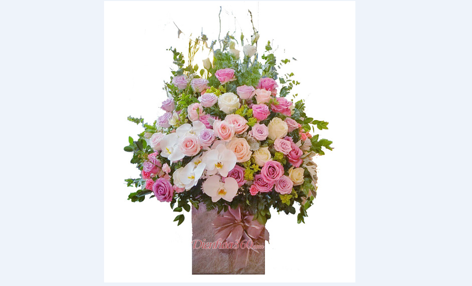 Ghi chép NHỮNG NGƯỜI GIỮ LỬA  của Phạm Vân Anh