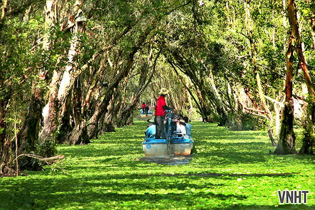 Đồng bằng sông Cửu Long dưới ống kính của NSNA Đậu Bình