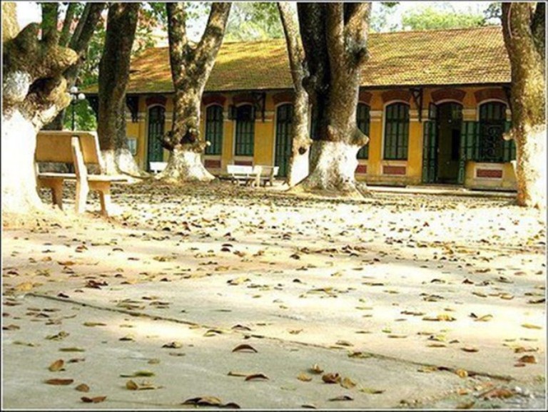 Tản văn TRƯỜNG TÔI của Nguyễn Thảo Chi - Tác phẩm tham dự Cuộc thi Viết, vẽ tuổi học trò lần thứ XIII