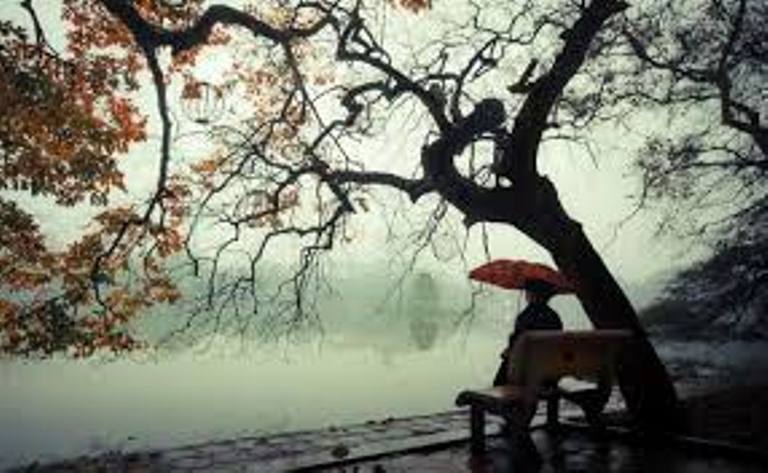 Chùm thơ các tác giả trên Tạp chí Hồng Lĩnh số tháng 12 - 2021 (Phần 2)