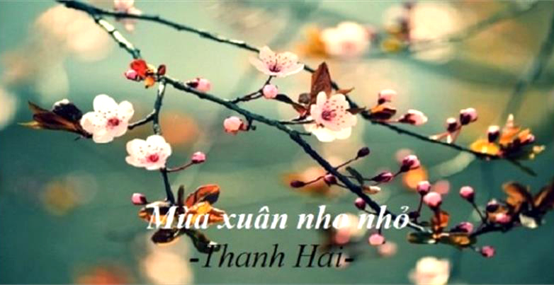 Một nét xuân trong “Mùa xuân nho nhỏ”